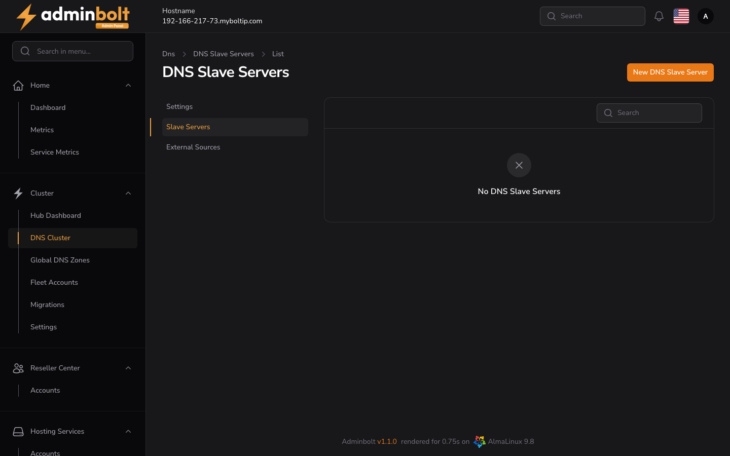 DNS Cluster - Slave Servers