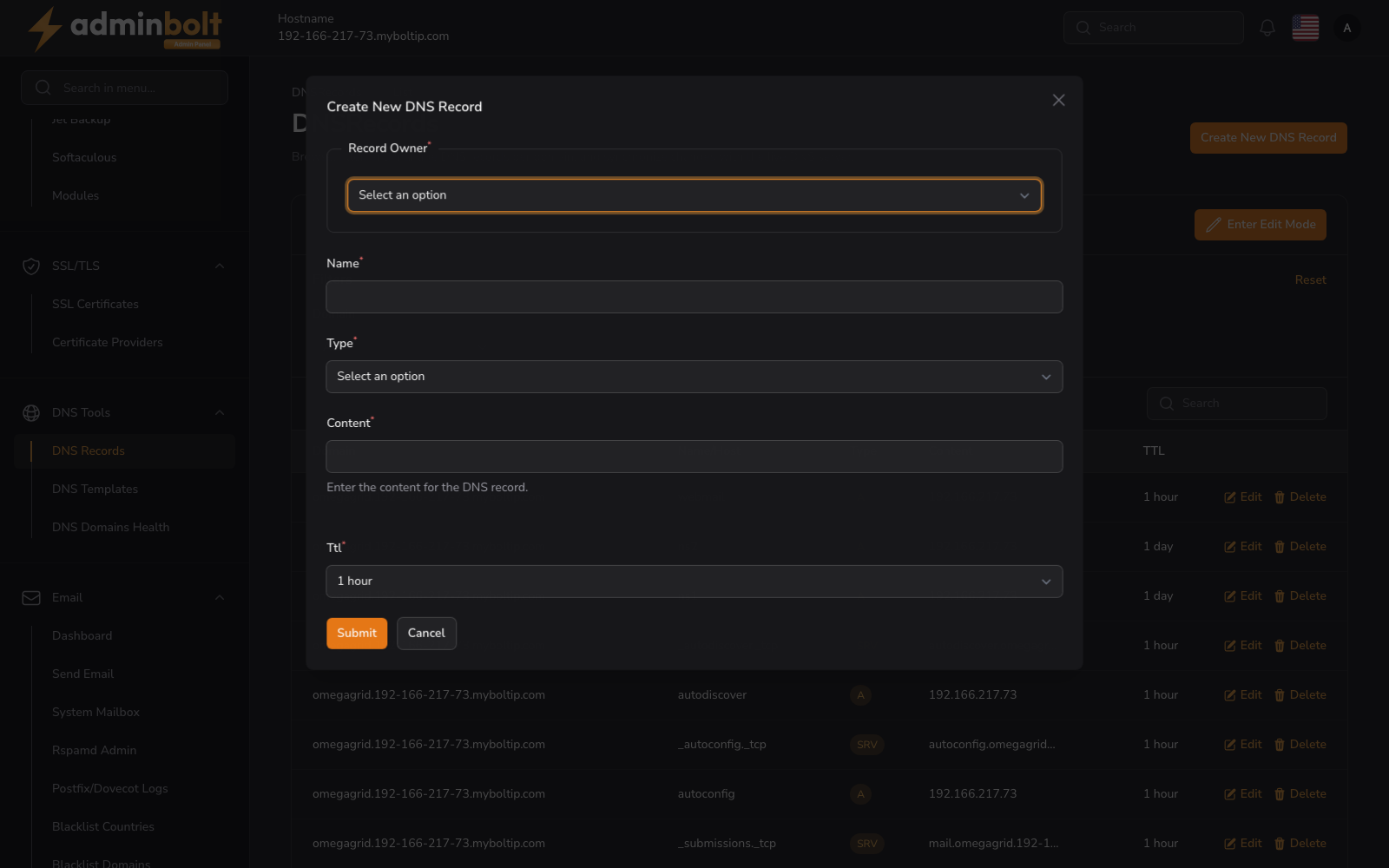 DNS Records Page