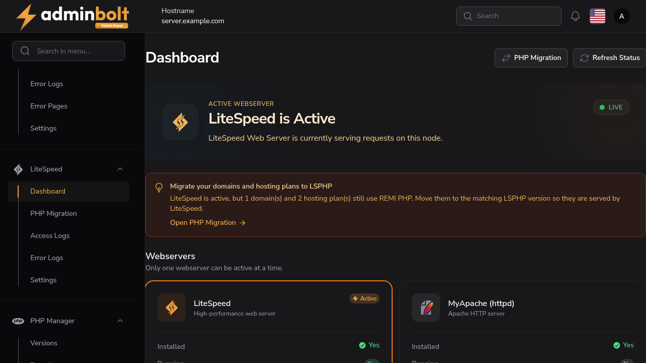 Dashboard showing LiteSpeed is active