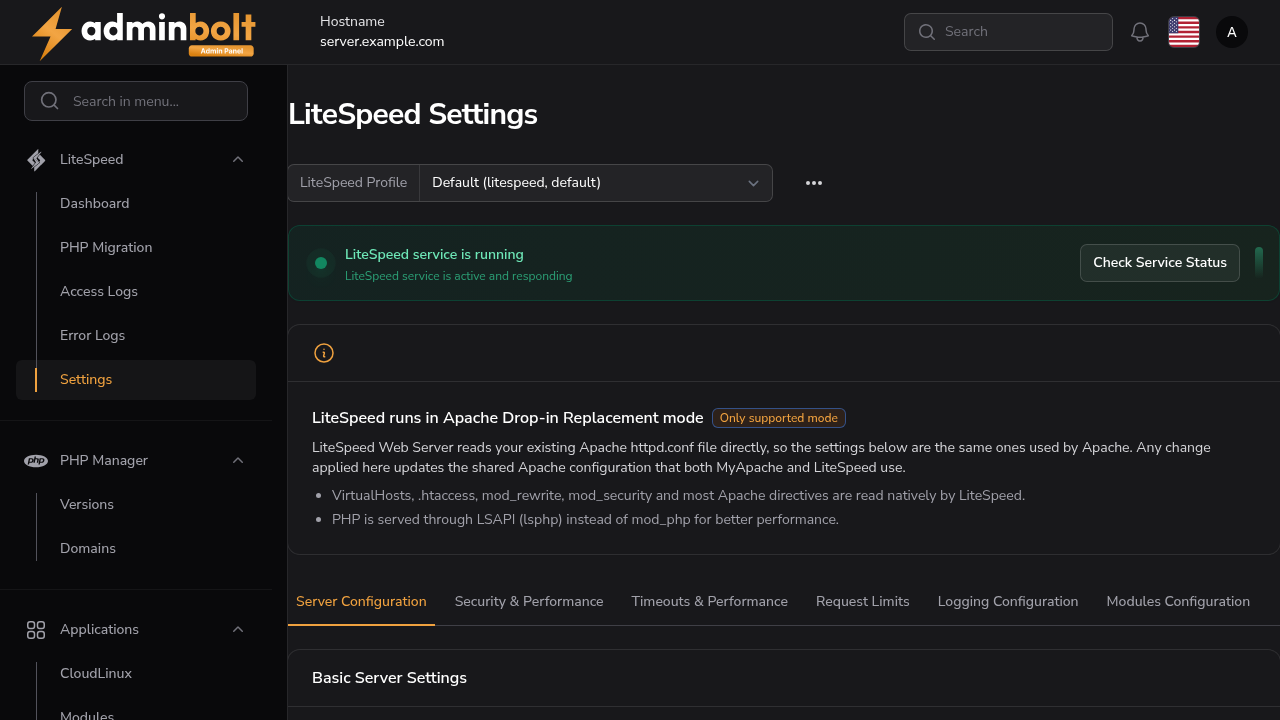 LiteSpeed settings page in drop-in mode