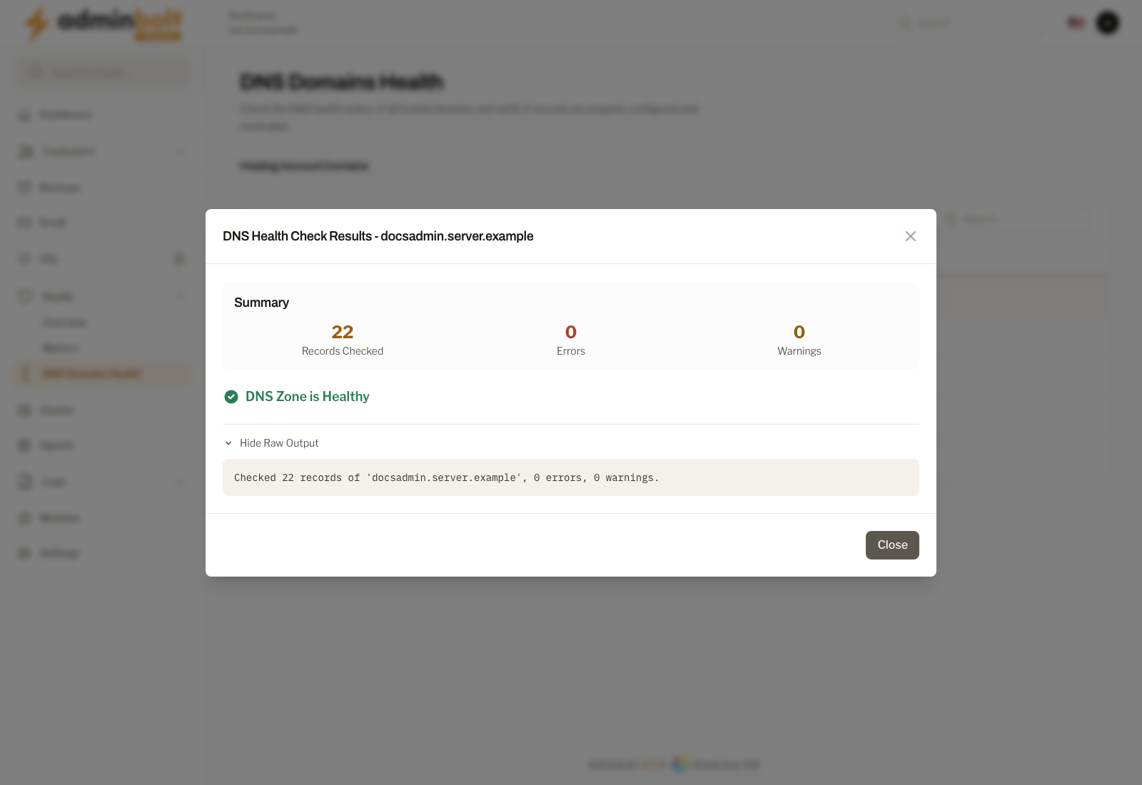 DNS Check Result