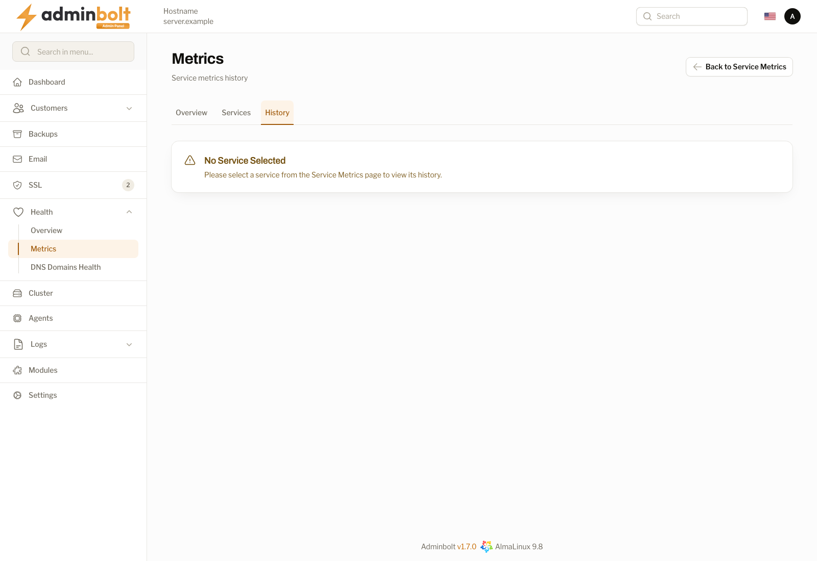 Metrics: History
