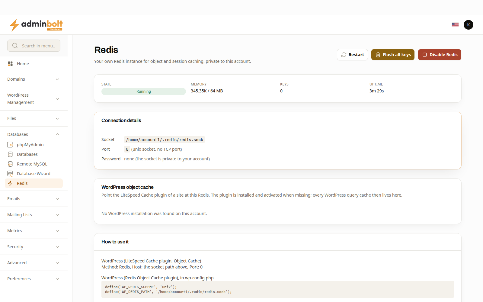 The Redis page with a running instance and its connection details
